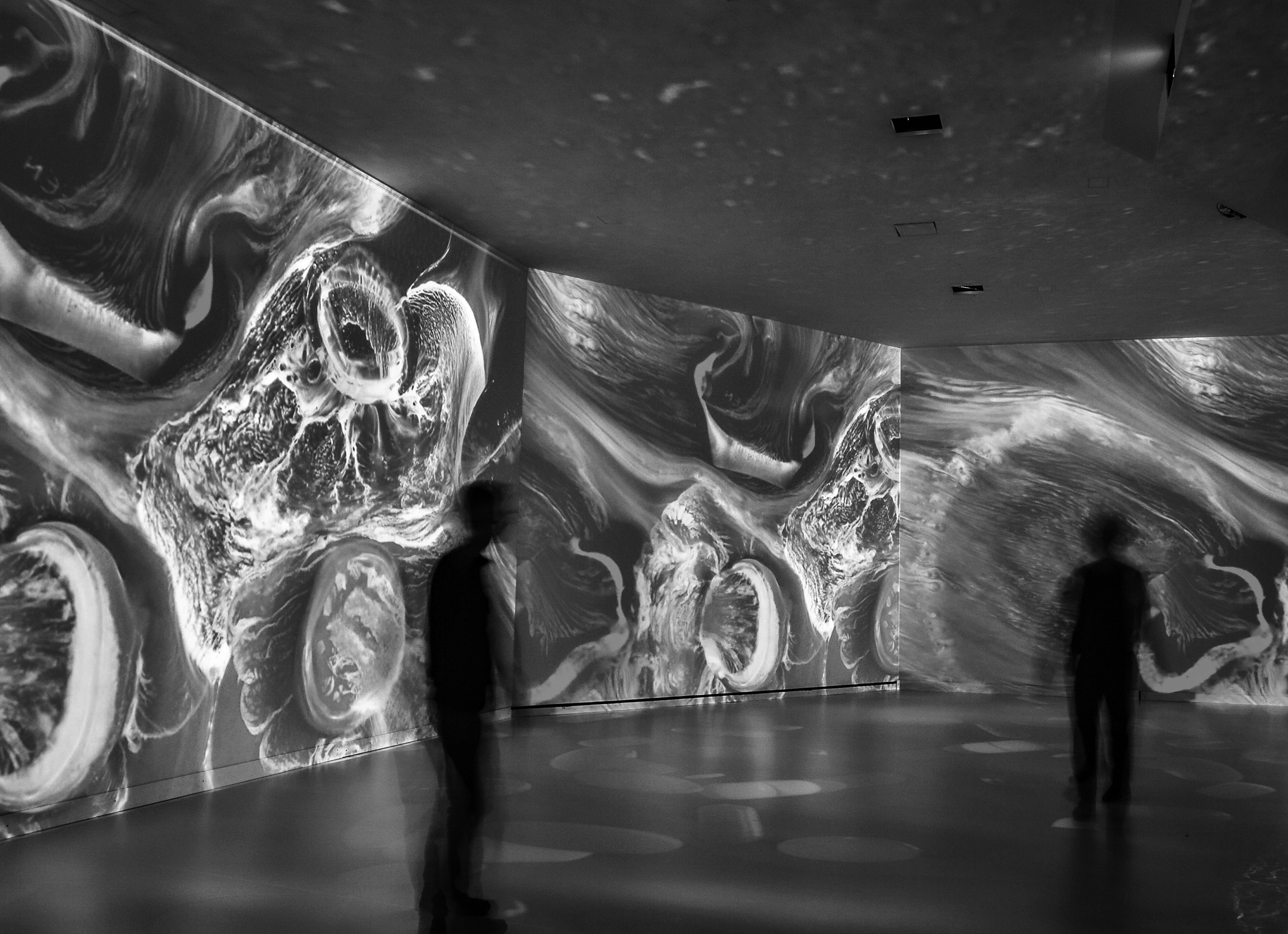 Immersive Visual Experience